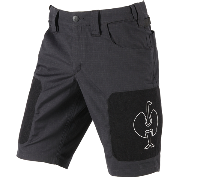Hauptansicht, Shorts | 3/4 Hosen, Short e.s.tool concept, schwarz