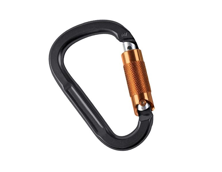 Hauptansicht, Fallschutz, Twistlock- Karabiner Pear TW