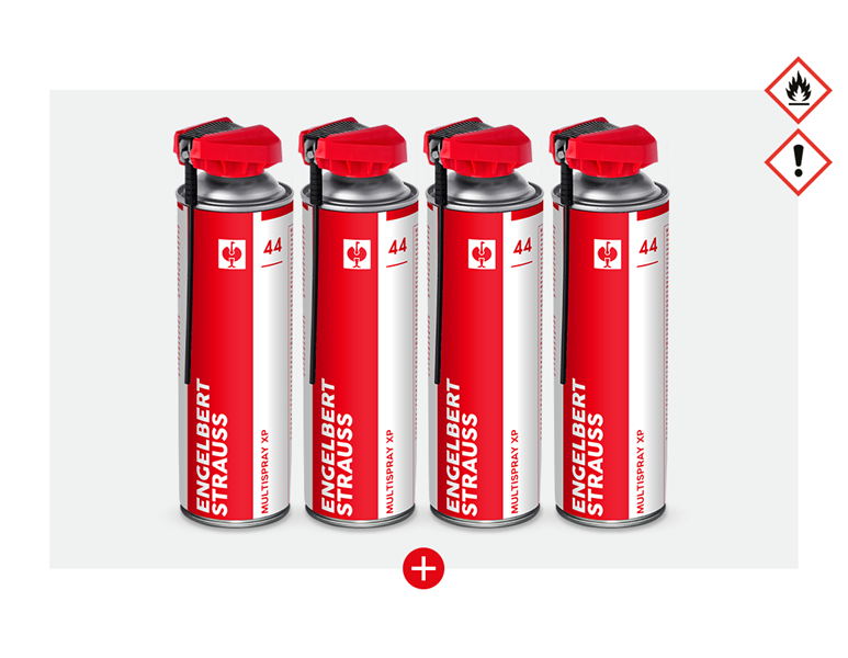Hauptansicht, Betriebsbedarf, Aktion: 3 + 1 e.s. multispray xp