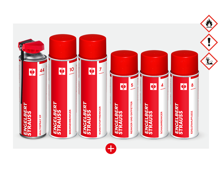 Hauptansicht, Sets, Aktion: Reiniger- und Pflege Sprays 6-teilig