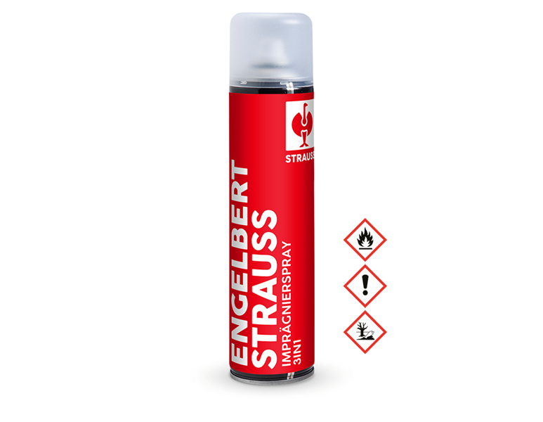 Hauptansicht, Schuhzubehör, e.s. Imprägnierspray 3 in 1