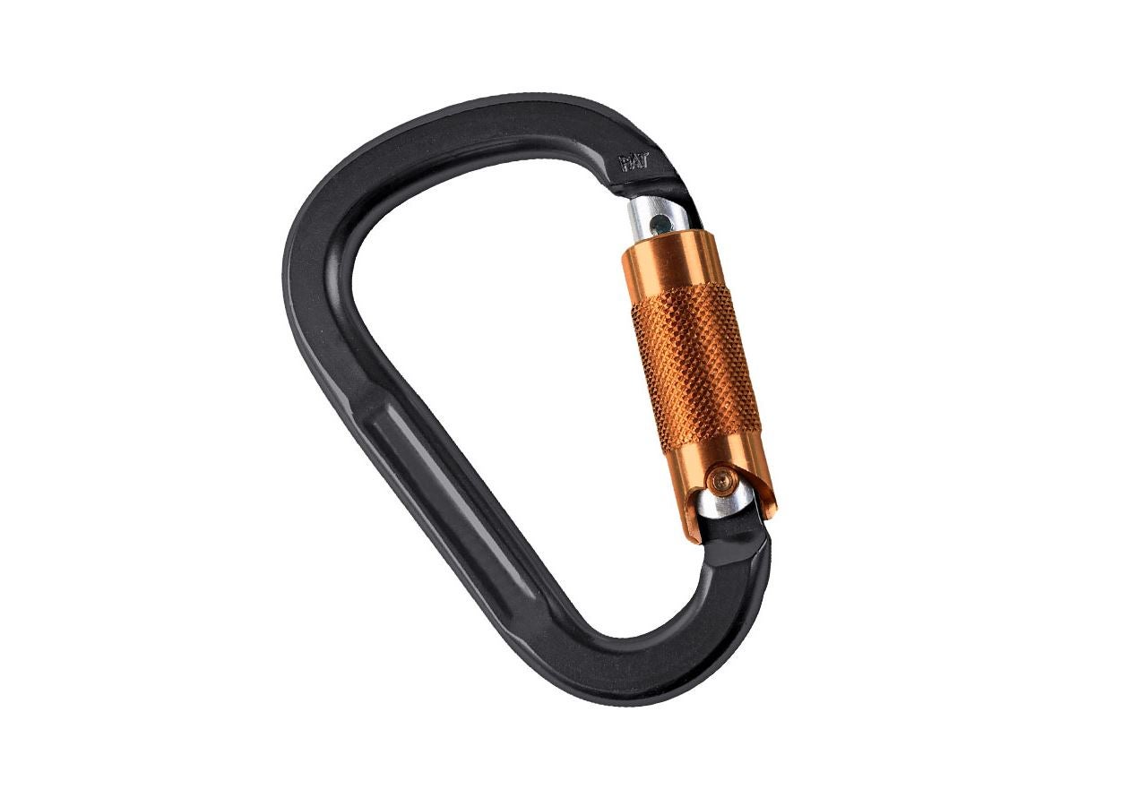 Fallschutz: Twistlock- Karabiner Pear TW