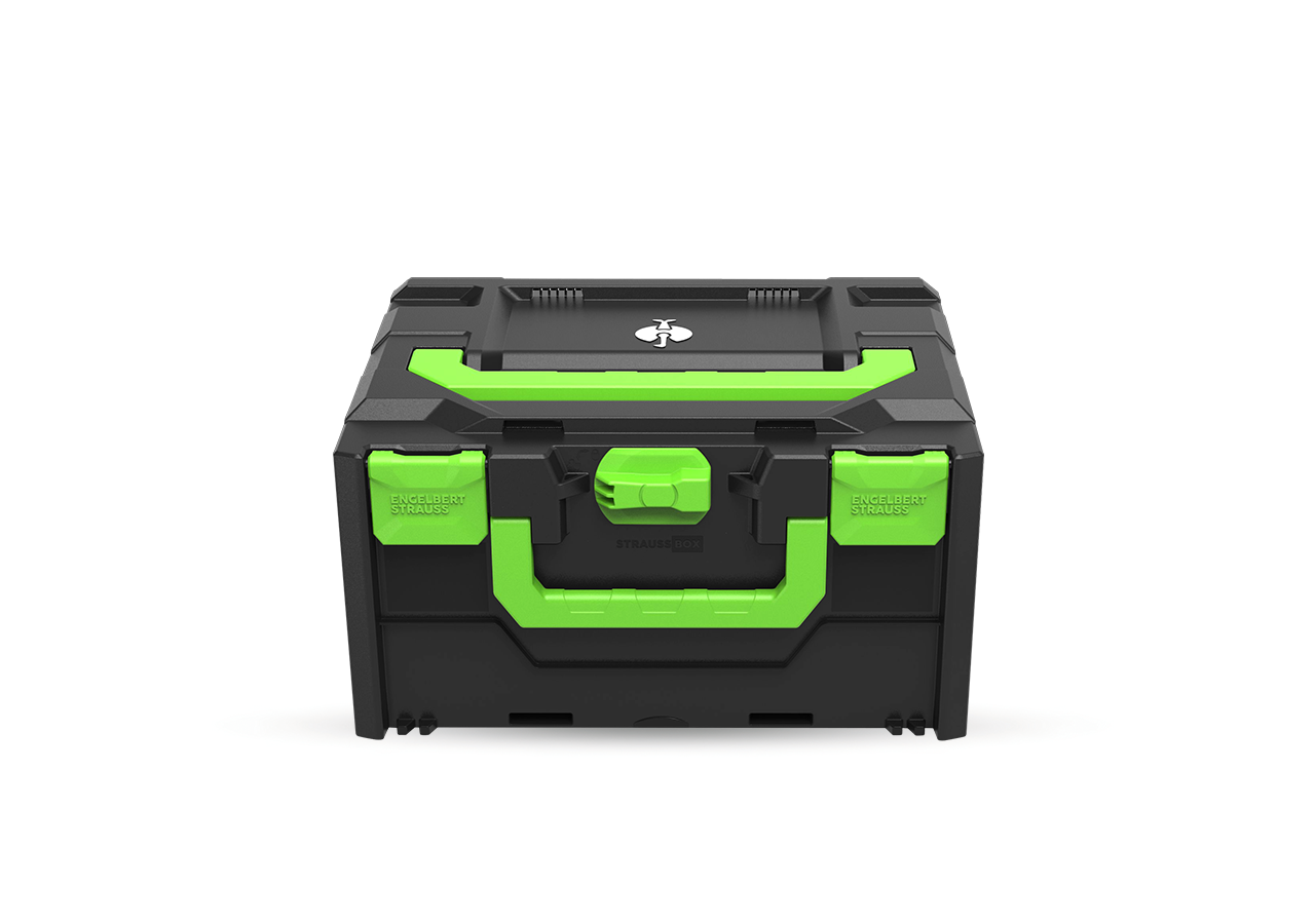 STRAUSSbox System: STRAUSSbox 215 midi Color + seegrün