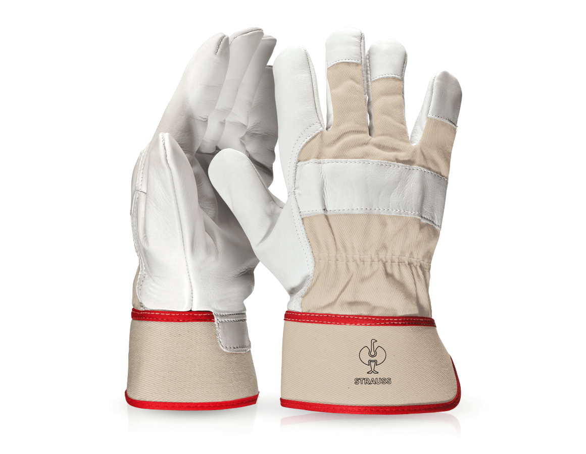 Leder: Vollleder-Handschuhe Phoenix