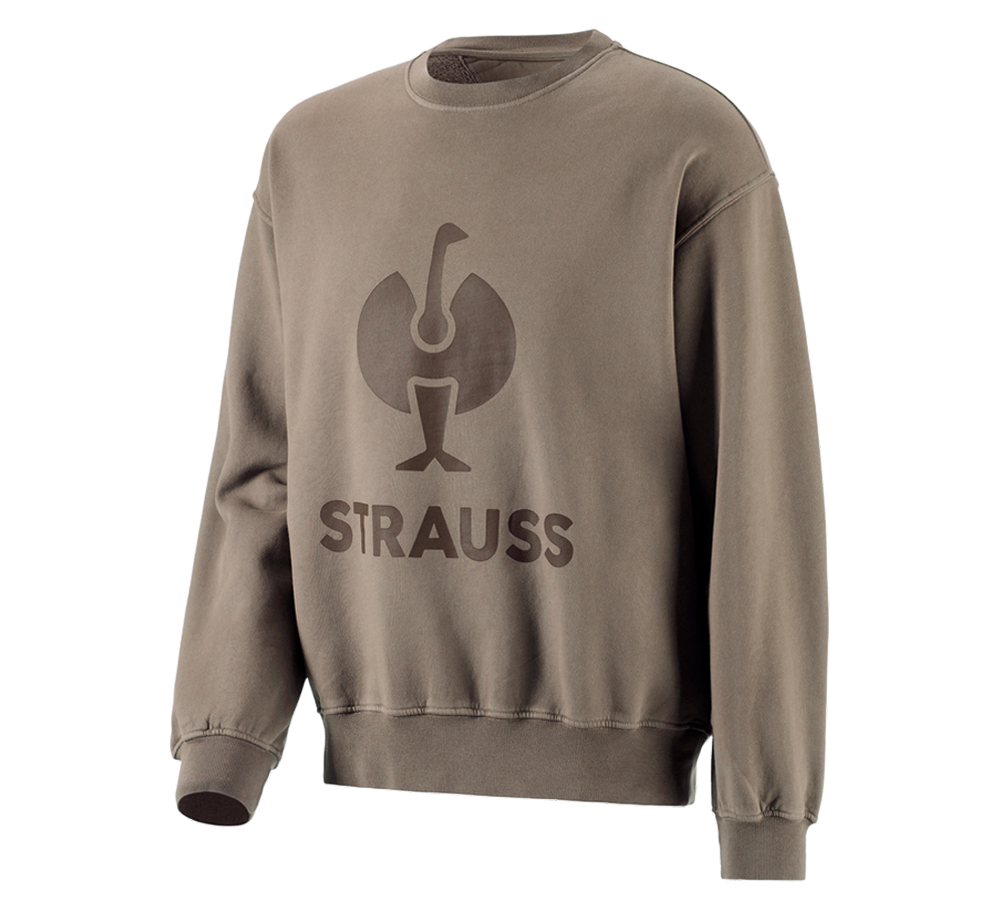 Shirts & Co.: Oversize Sweatshirt e.s.motion ten + pekanbraun vintage