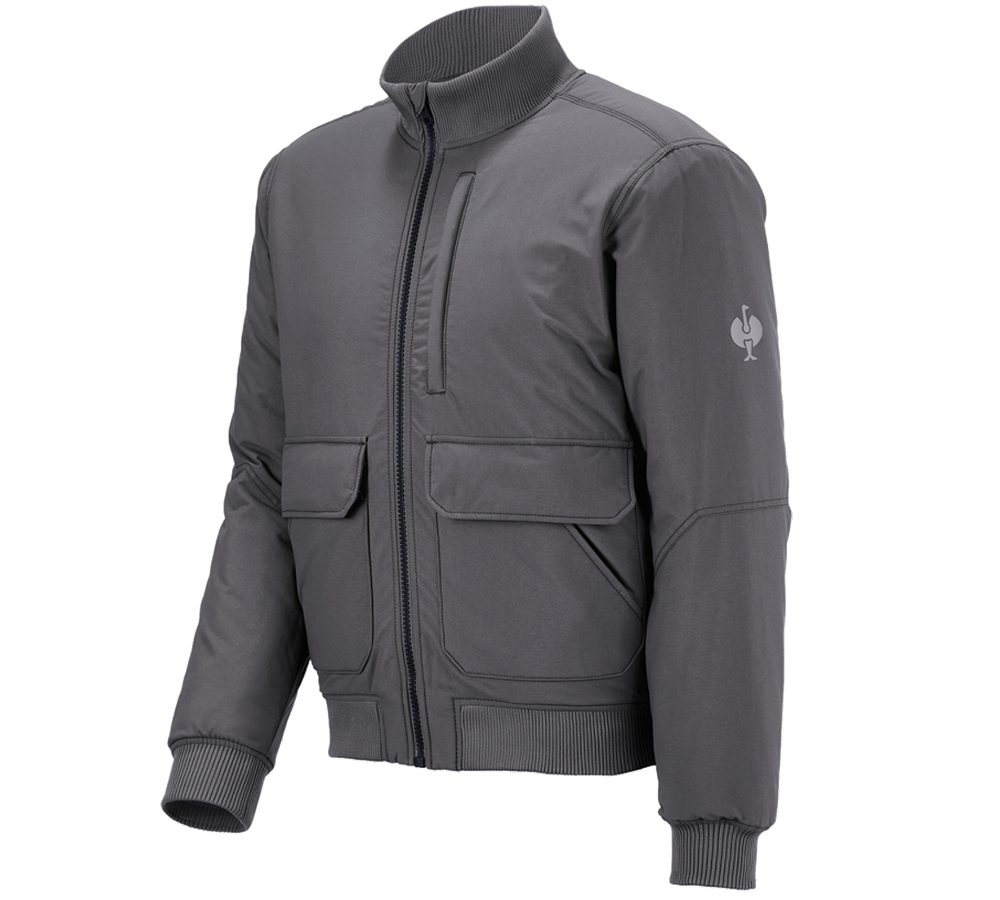 Jacken: Pilotenjacke e.s.iconic + carbongrau