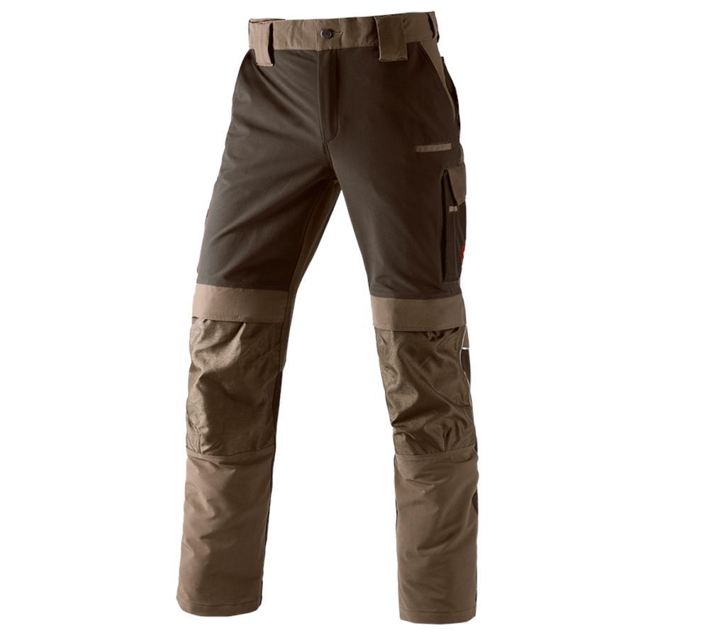 Hosen: Funktions Bundhose e.s.dynashield + haselnuss/kastanie