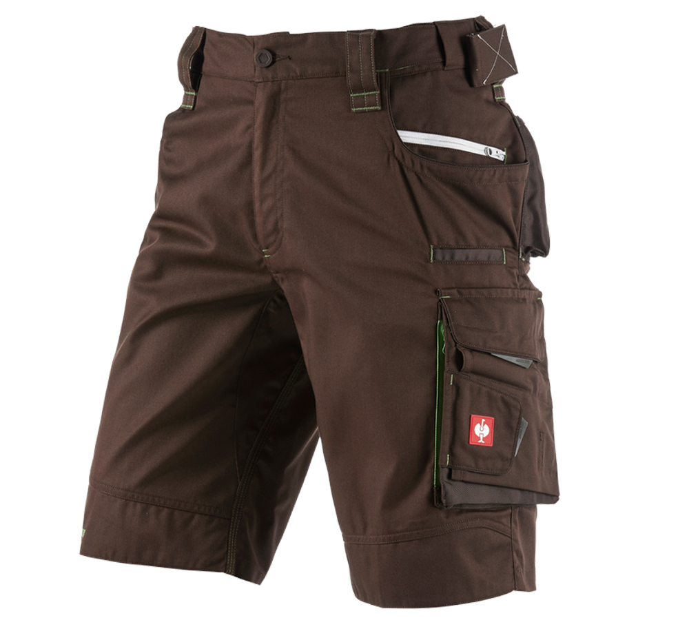 Hosen: Short e.s.motion 2020 + kastanie/seegrün