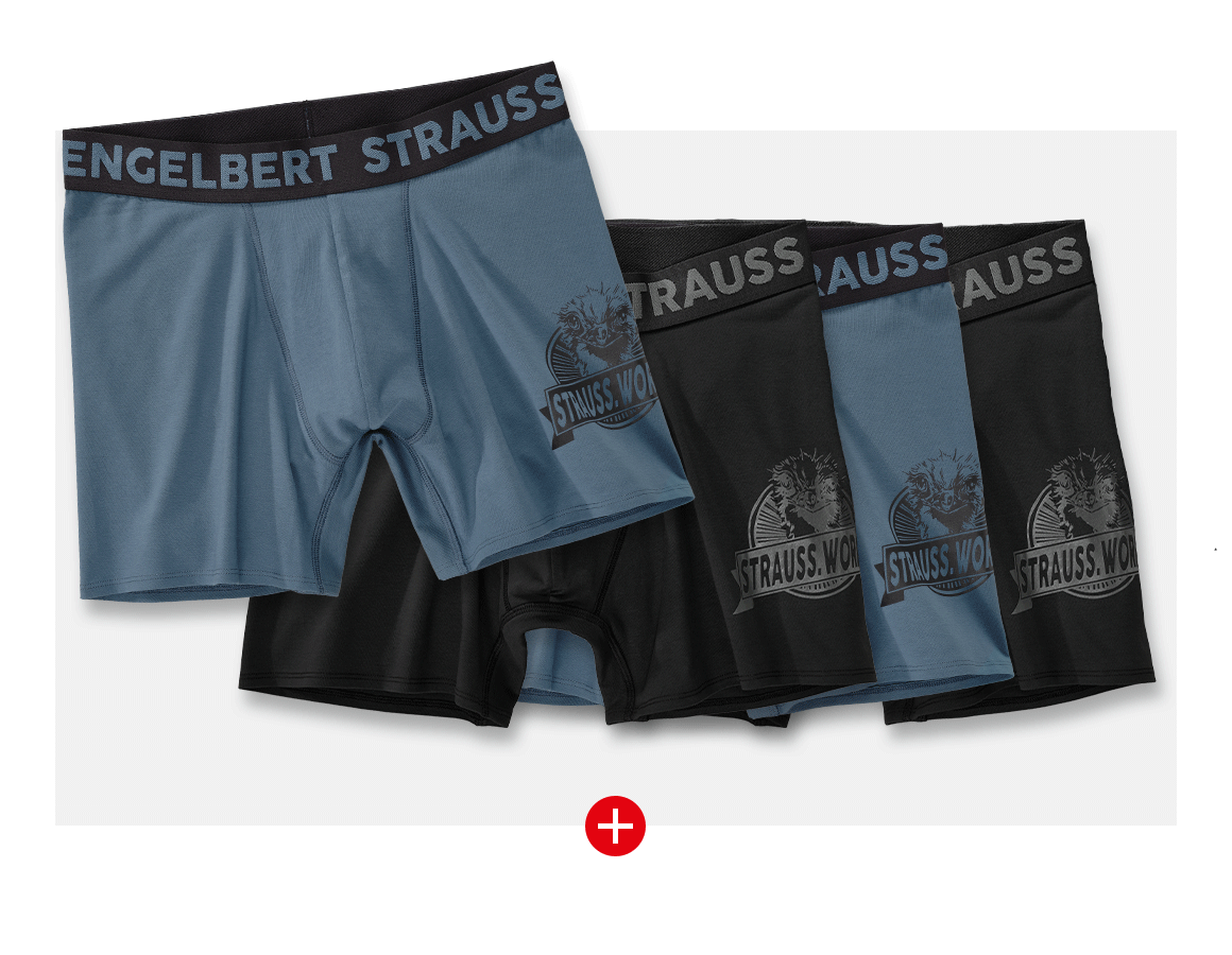 Unterwäsche | Thermokleidung: SET: 4x Longleg Pants e.s.iconic + oxidblau+schwarz