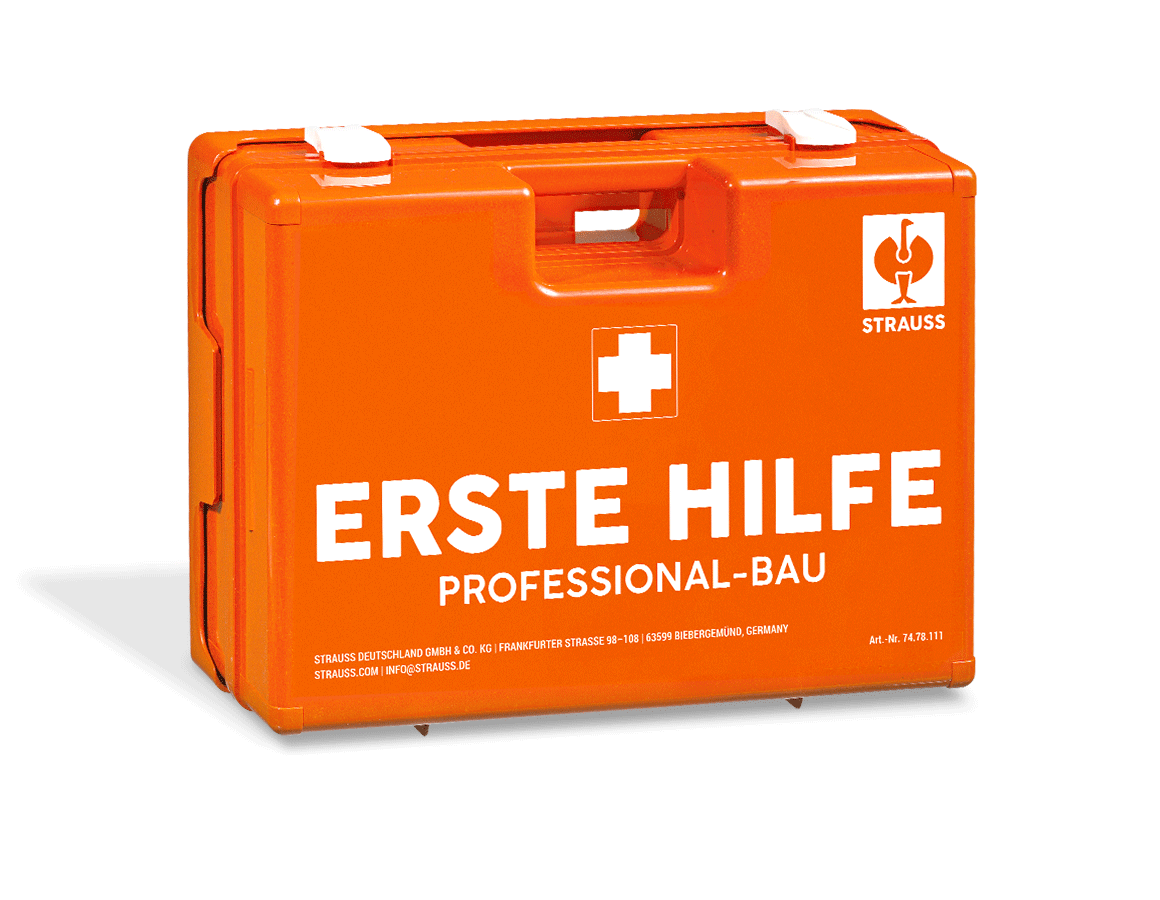 Koffer | Schränke: Erste-Hilfe-Koffer Professional