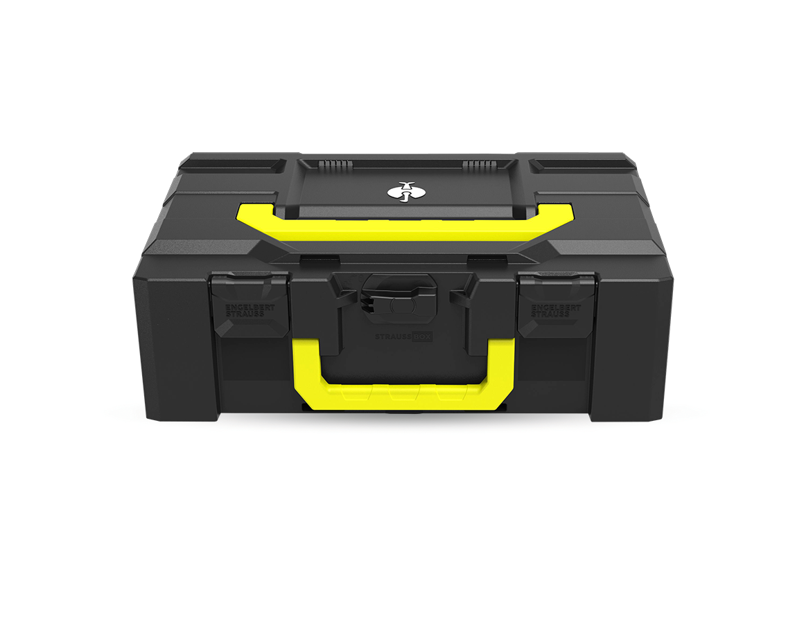 STRAUSSbox System: STRAUSSbox 165 large Color + schwarz