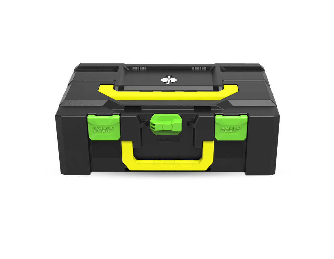 STRAUSSbox System: STRAUSSbox 165 large Color + seegrün