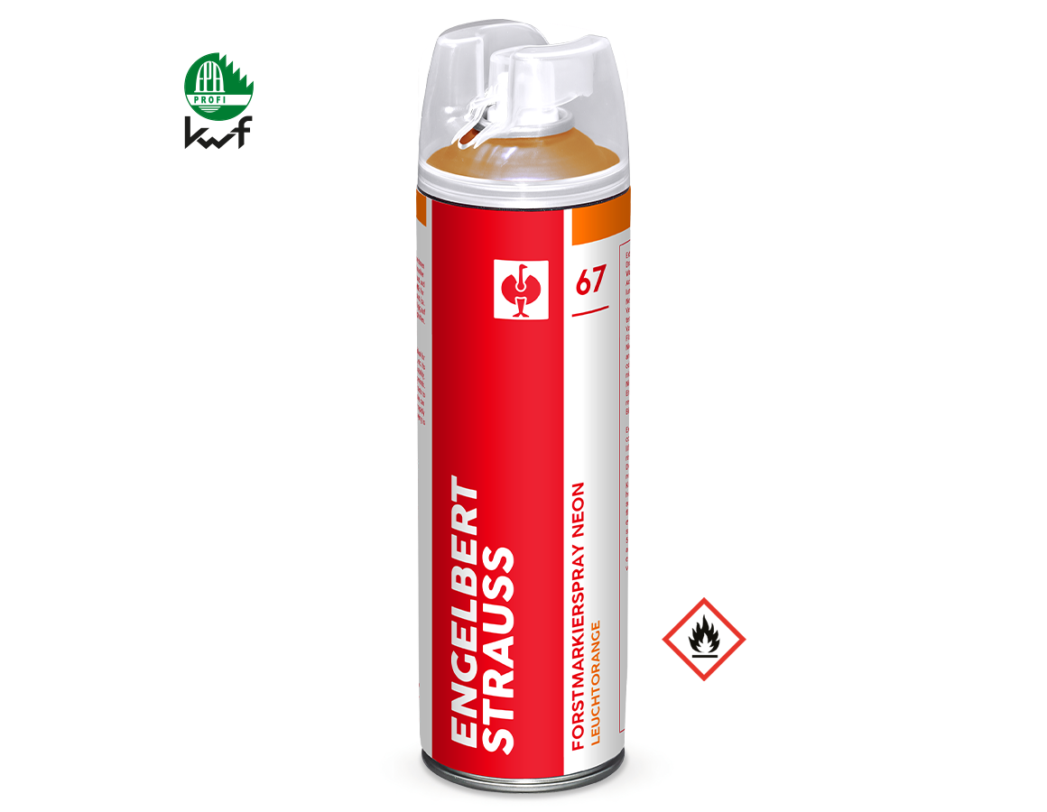 Sprays: e.s. Forstmarkierspray Neon #67 + leuchtorange