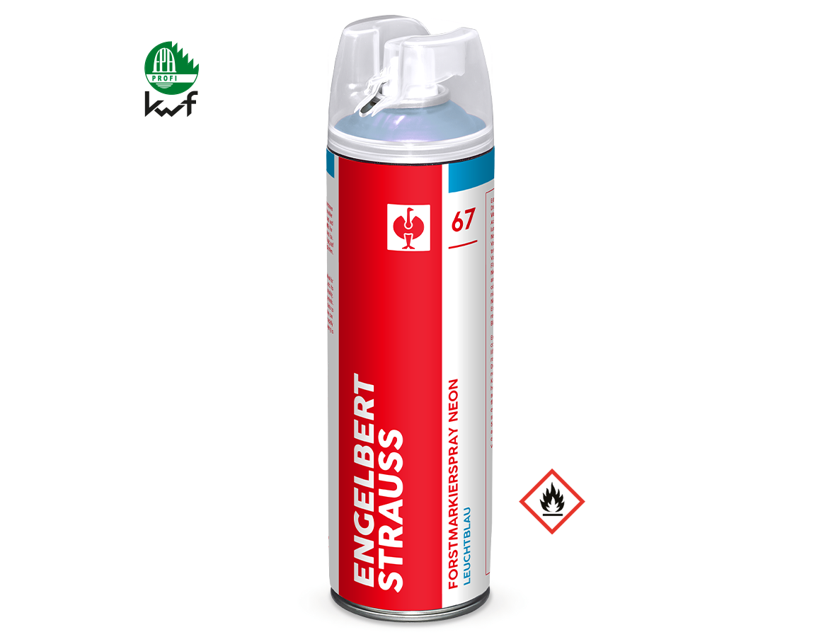 Sprays: e.s. Forstmarkierspray Neon #67 + leuchtblau