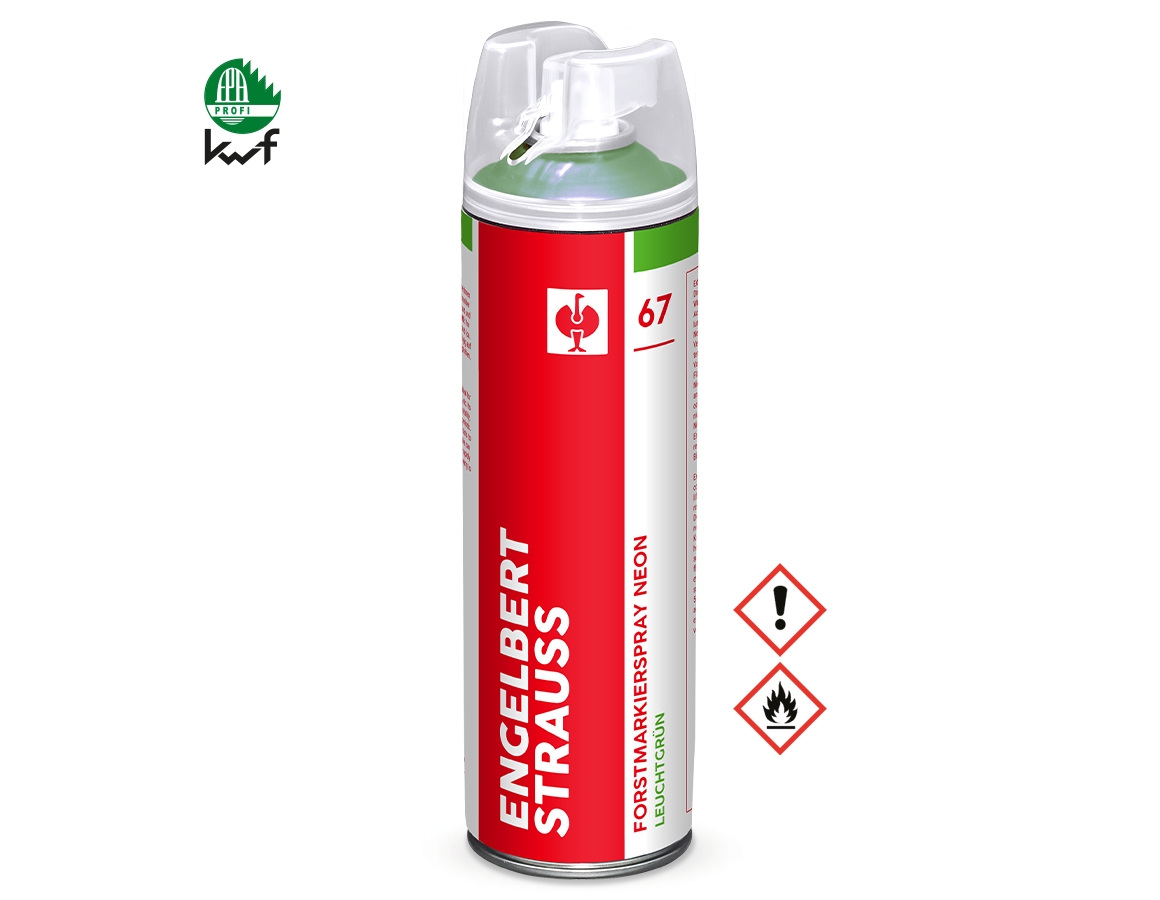 Sprays: e.s. Forstmarkierspray Neon #67 + leuchtgrün