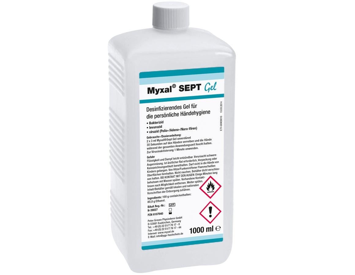 Handreinigung | Hautschutz: Handdesinfektionsmittel Myxal SEPT