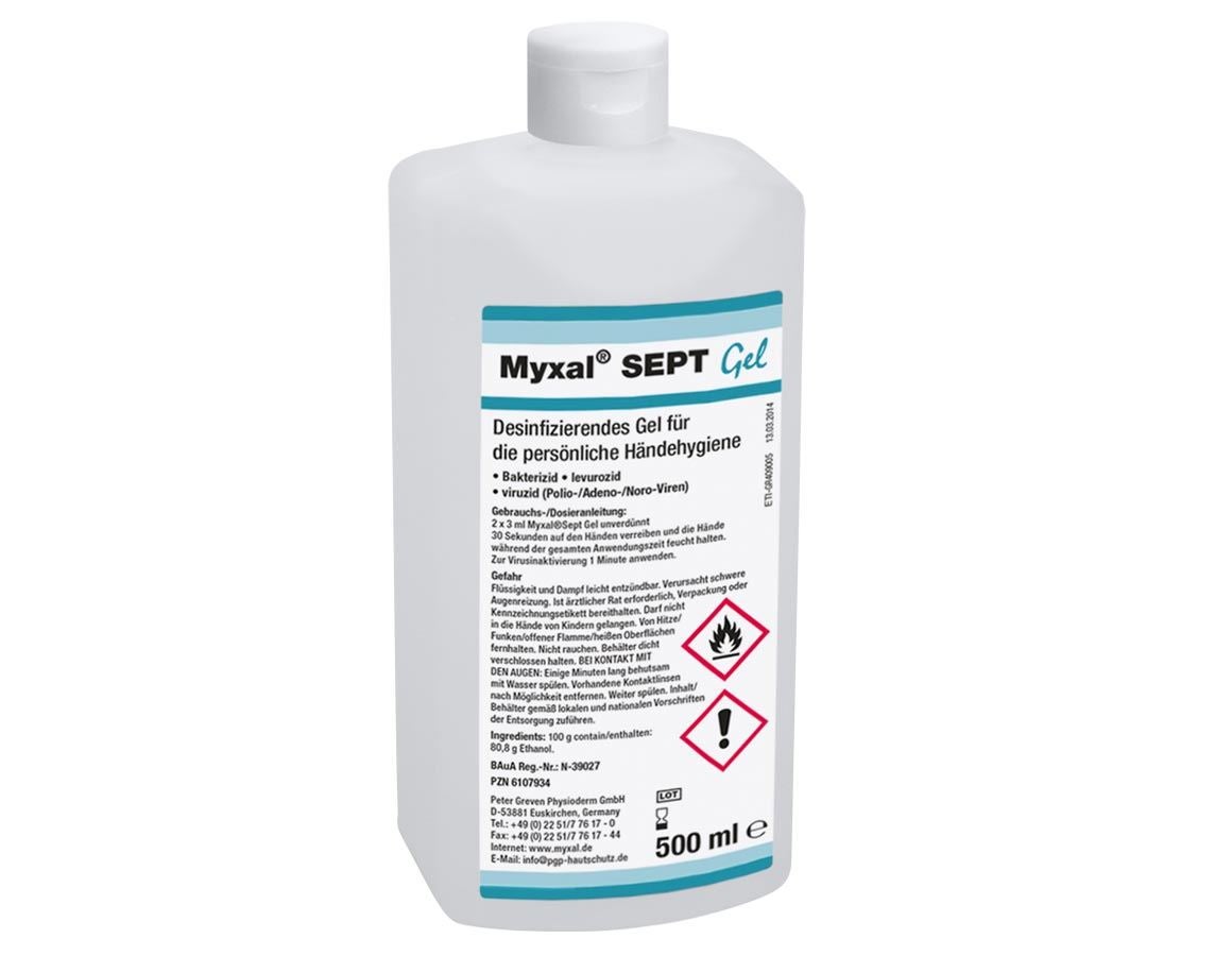 Handreinigung | Hautschutz: Handdesinfektionsmittel Myxal SEPT