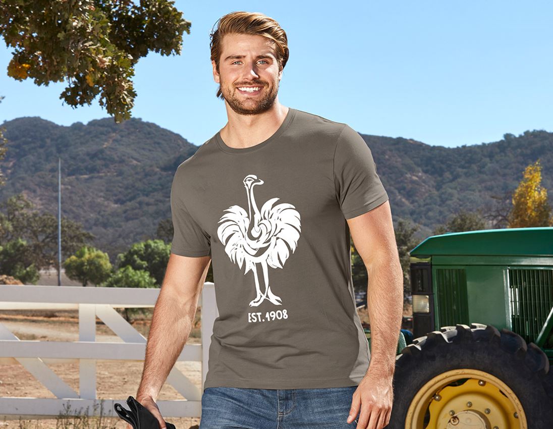 Themen: e.s. T-Shirt 1908 + stein/weiß