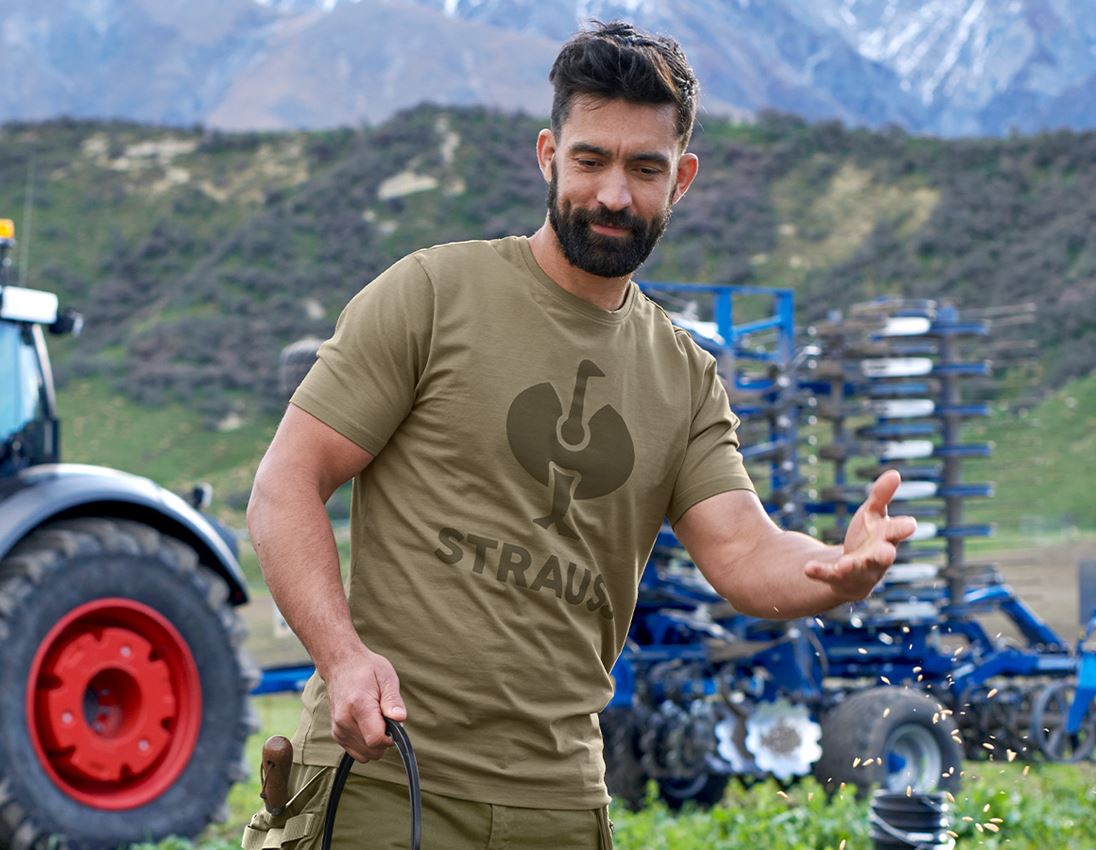 Shirts & Co.: T-Shirt e.s.concrete + stipagrün
