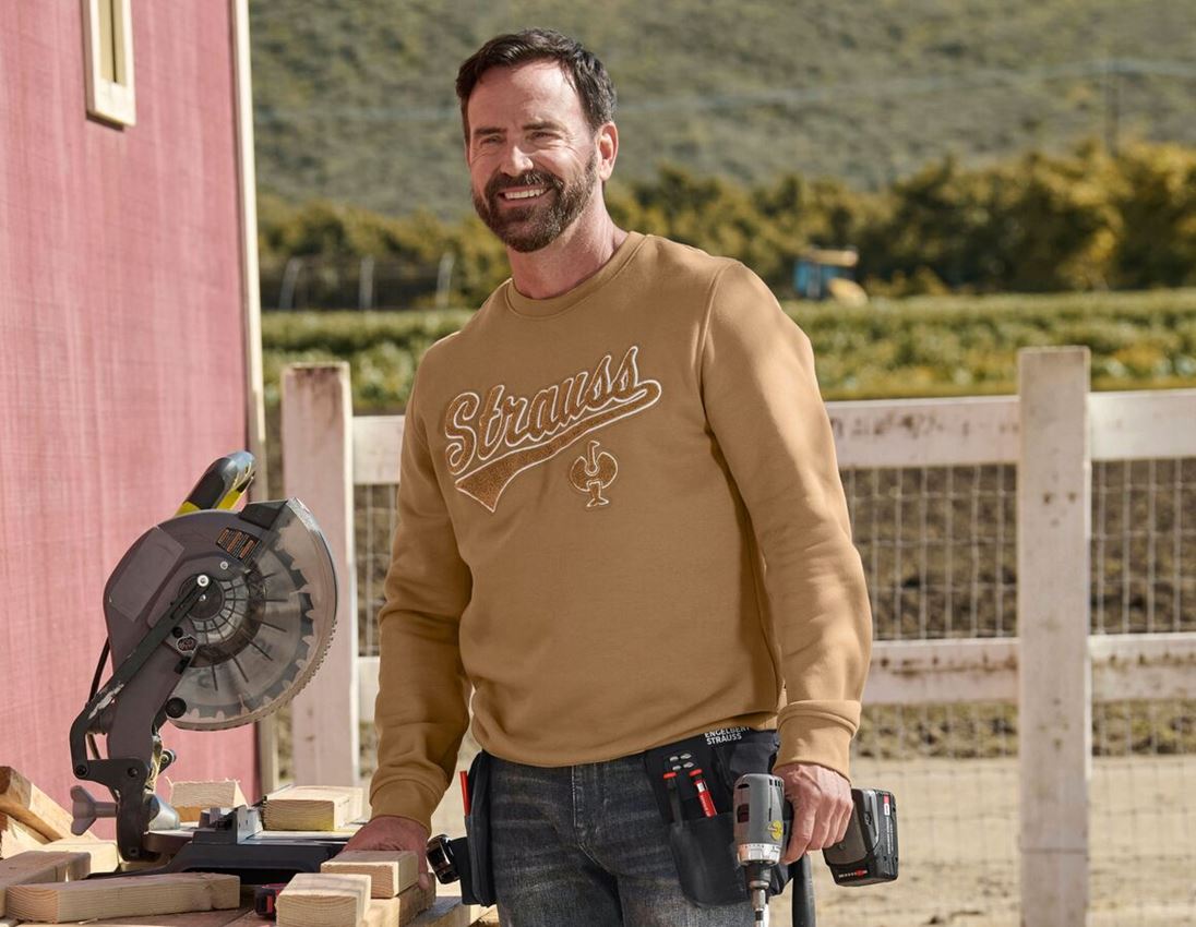 Shirts & Co.: Sweatshirt e.s.e:pic + mandelbraun