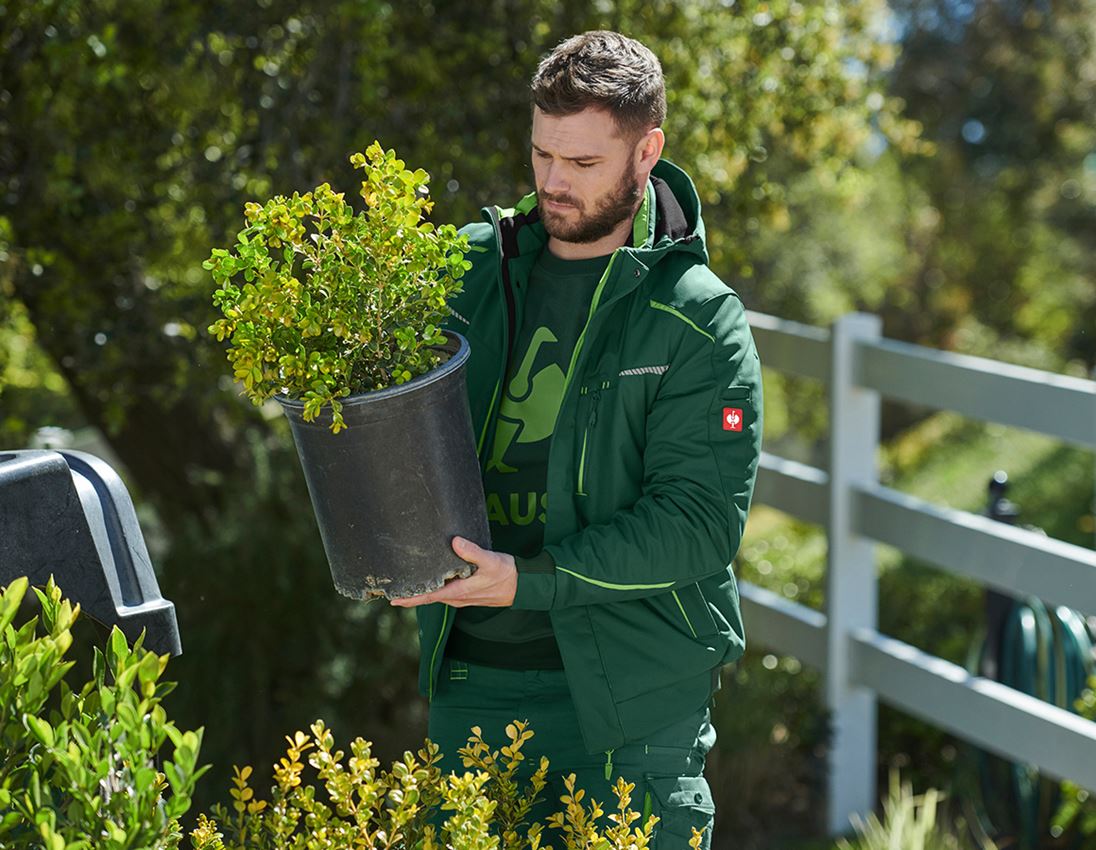 Jacken: Winter Softshelljacke e.s.motion 2020, Herren + grün/seegrün 1