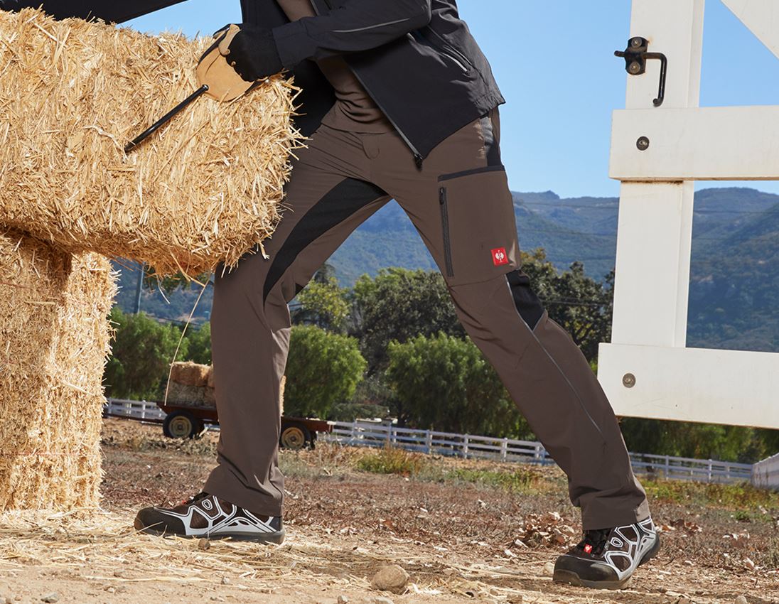 Hosen: Cargohose e.s.vision stretch, Herren + kastanie/schwarz
