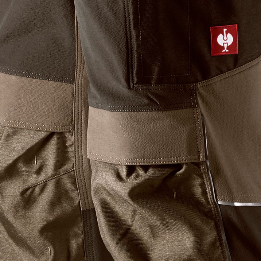 Hosen: Funktions Bundhose e.s.dynashield + haselnuss/kastanie 2