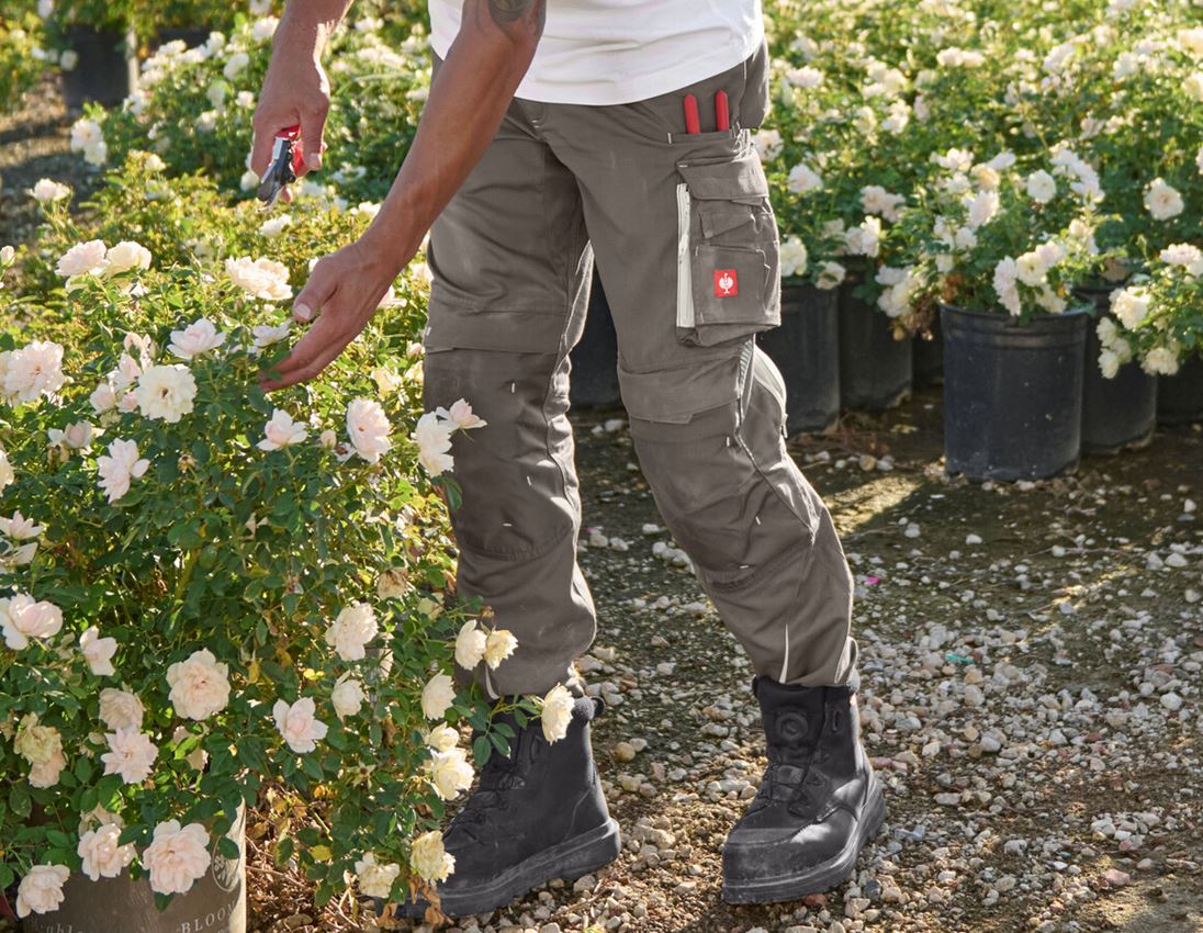 Fachlageristen: Bundhose e.s.motion 2020 + stein/gips 2