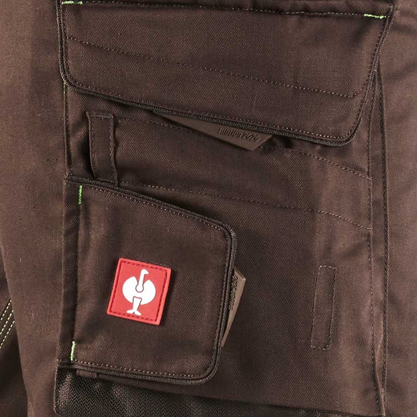 Hosen: Bundhose e.s.motion 2020 Winter, Herren + kastanie/seegrün 2