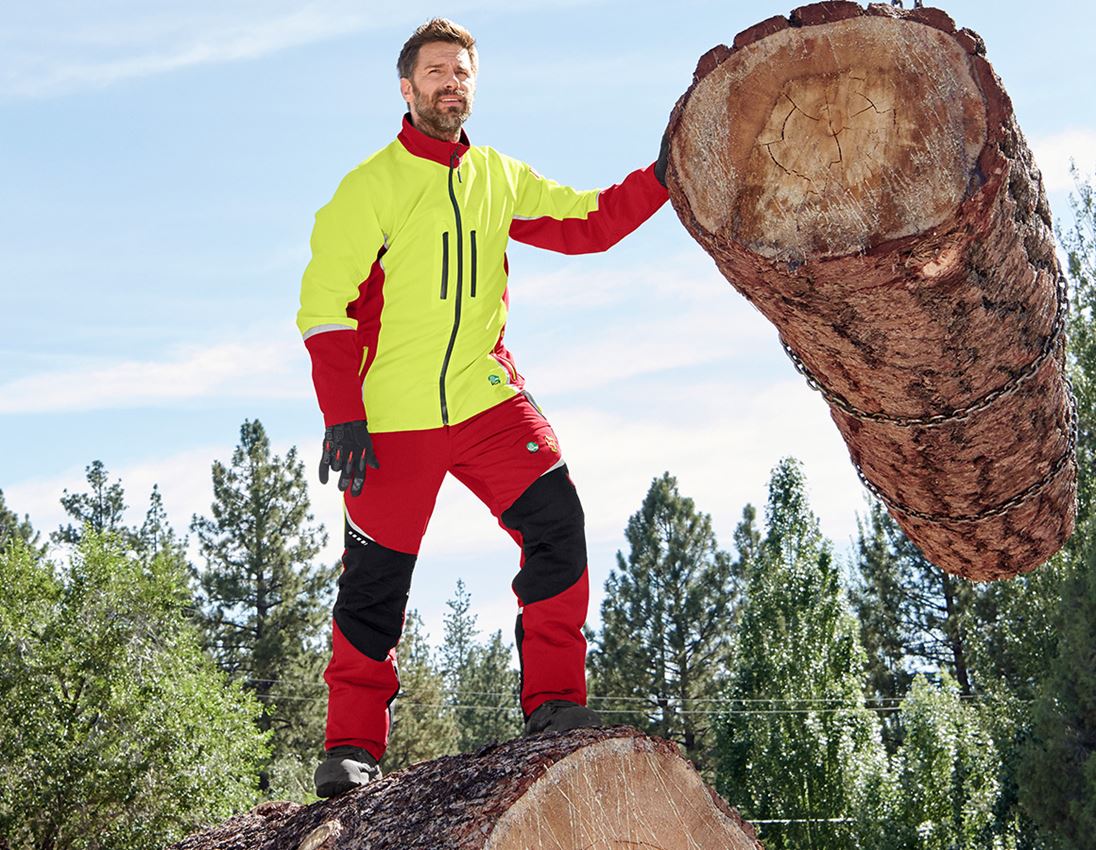 Hosen: e.s. Forst-Schnittschutz Bundhose, KWF + rot/warngelb 1