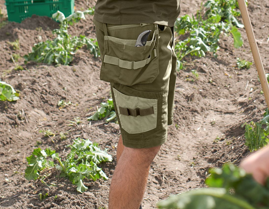 Hosen: Short e.s.concrete light + schlammgrün/stipagrün 2