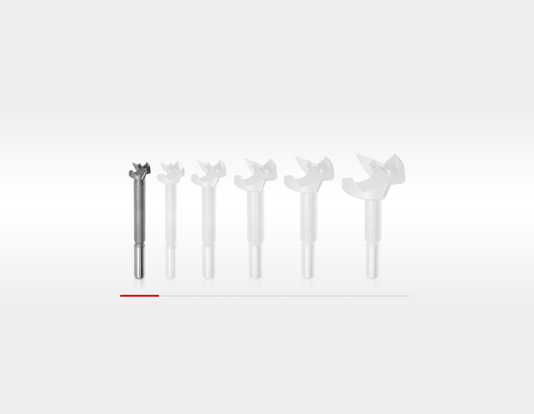 Bohrer: e.s. Forstnerbohrer classic 1