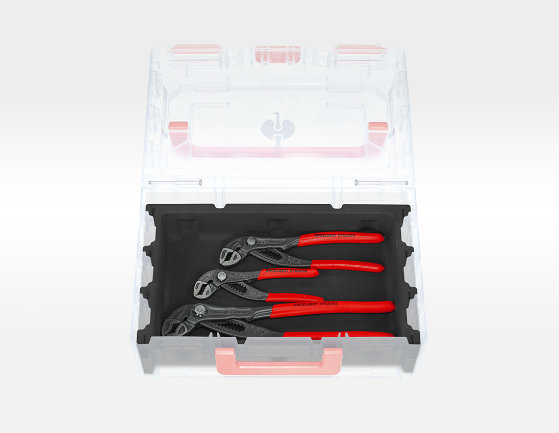 Werkzeuge: STRAUSSbox small Wapu-Zangen insert