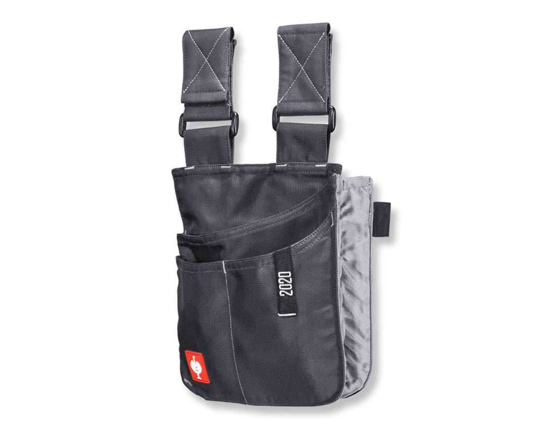 Accessoires: Werkzeugtasche e.s.motion 2020, mittel + anthrazit/platin 1