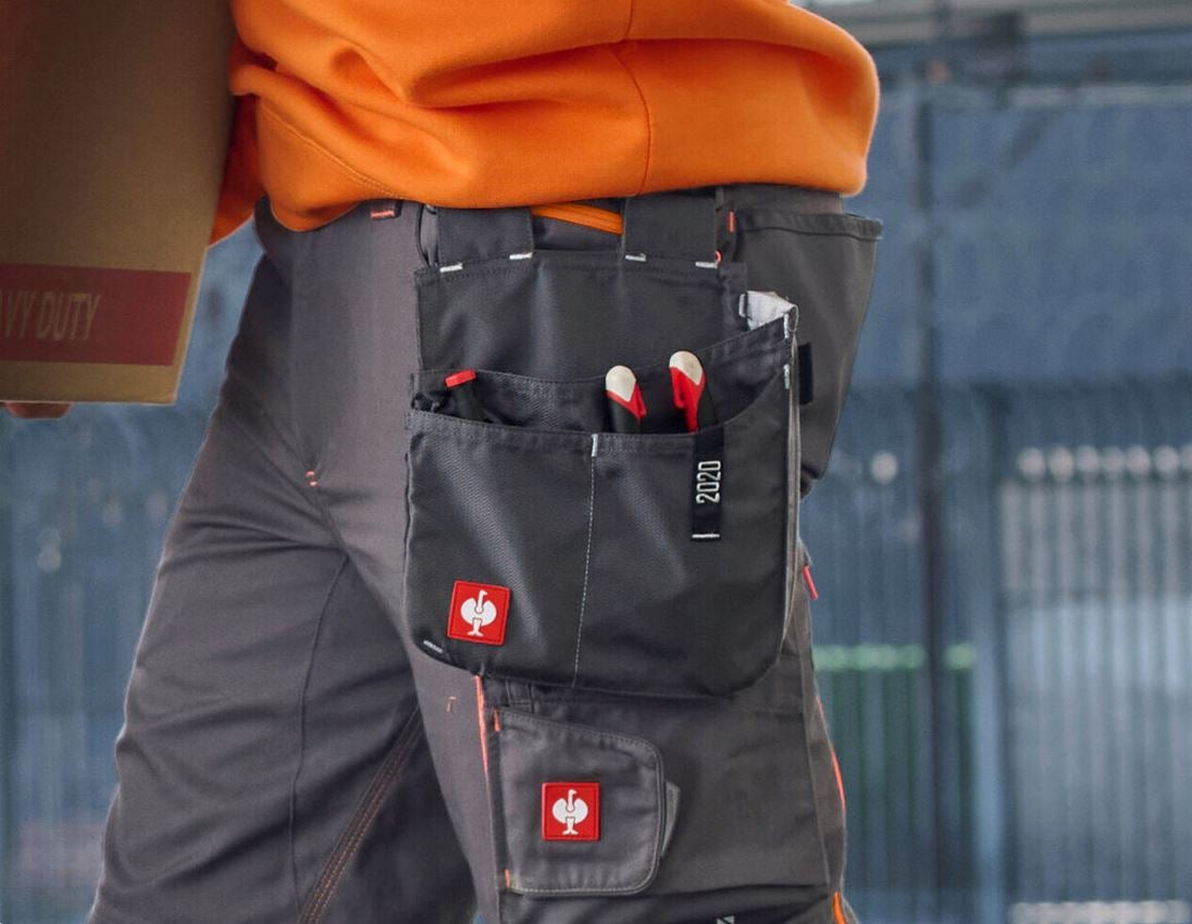 Werkzeugtaschen: Werkzeugtasche e.s.motion 2020, mittel + anthrazit/platin