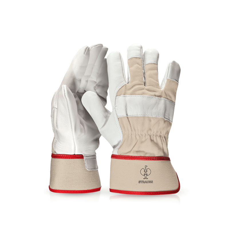 Leder: Vollleder-Handschuhe Phoenix