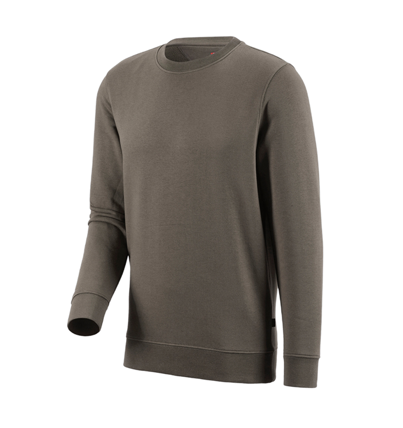 Shirts & Co.: e.s. Sweatshirt poly cotton + stein 2