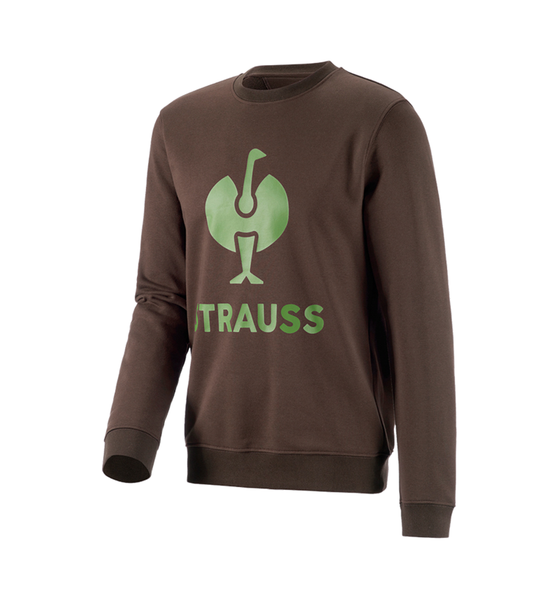 Shirts & Co.: Sweatshirt e.s.motion 2020 + kastanie/seegrün 2