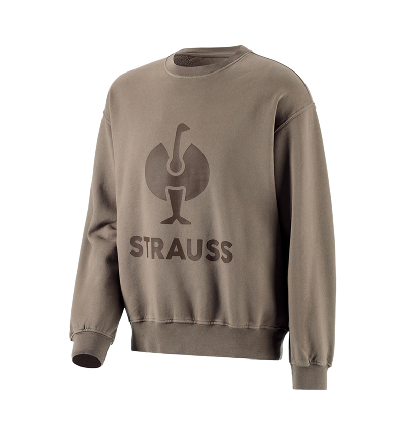 Shirts & Co.: Oversize Sweatshirt e.s.motion ten + pekanbraun vintage 3