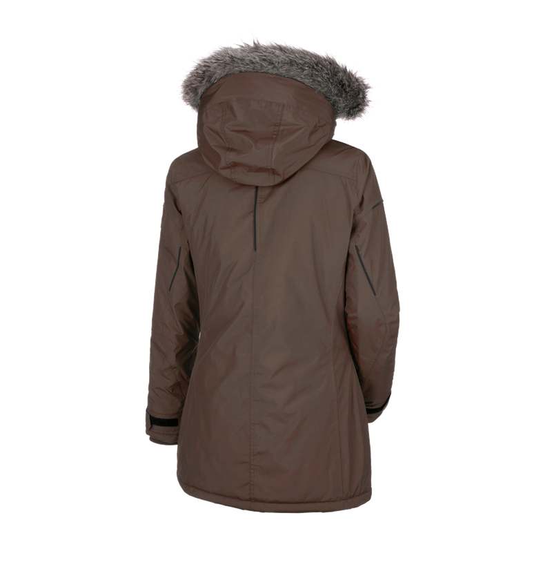 Themen: Winter Parka e.s.vision, Damen + rinde 3