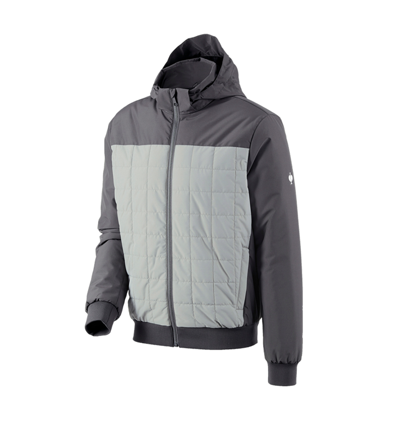 Themen: Kapuzen-Pilotenjacke e.s.concrete + anthrazit/perlgrau 2