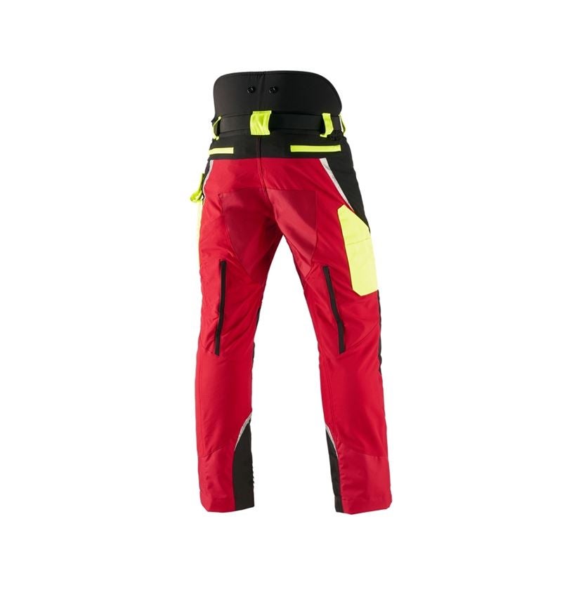 Hosen: e.s. Forst-Schnittschutz Bundhose, KWF + rot/warngelb 3