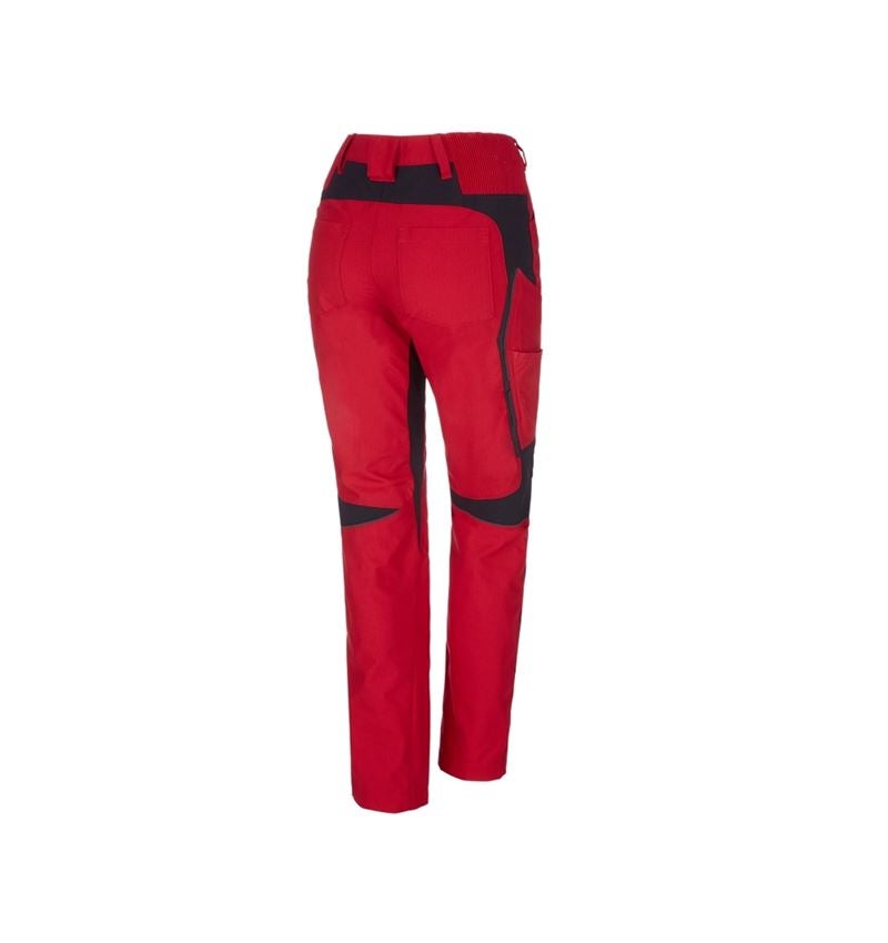 Kälte: Winter-Damenhose e.s.vision + rot/schwarz 3