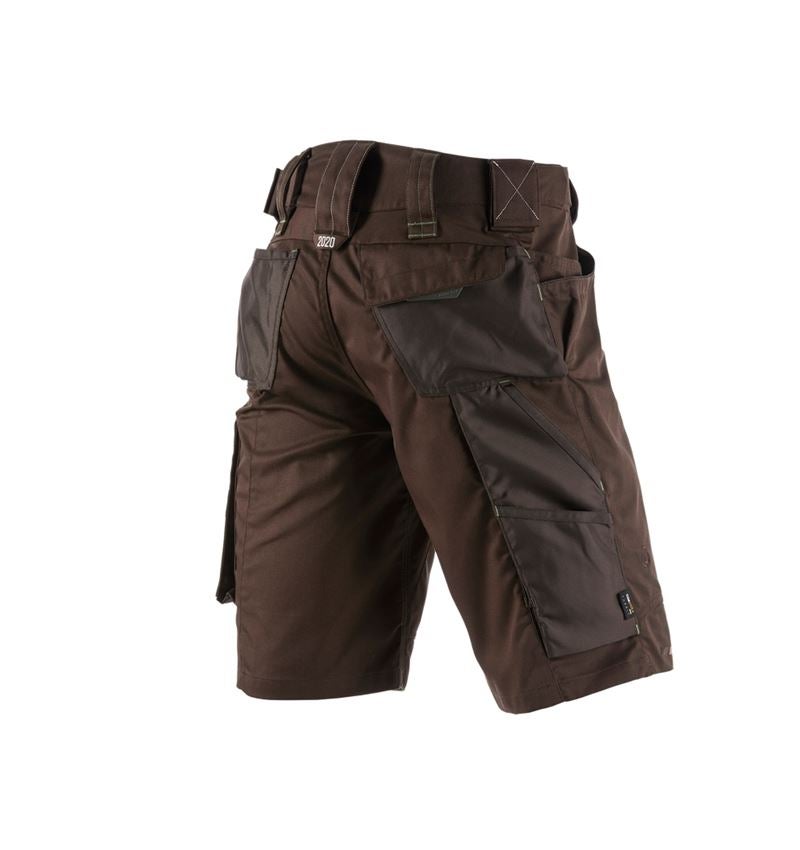 Hosen: Short e.s.motion 2020 + kastanie/seegrün 2