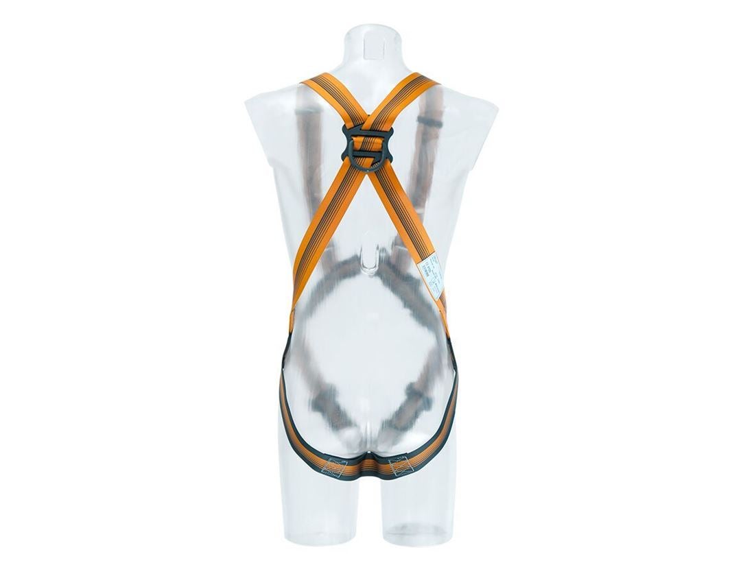 Fallschutz: Skylotec Auffanggurt Standard