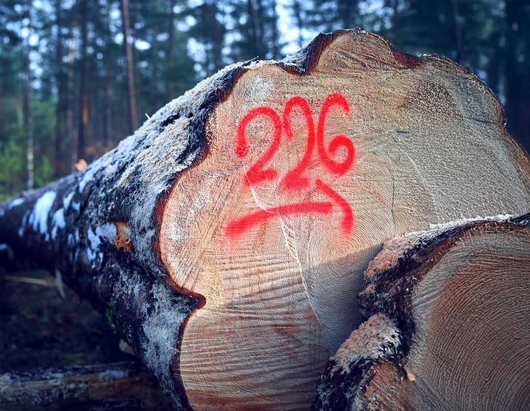 Sprays: e.s. Forstmarkierspray Neon #67 + leuchtrot