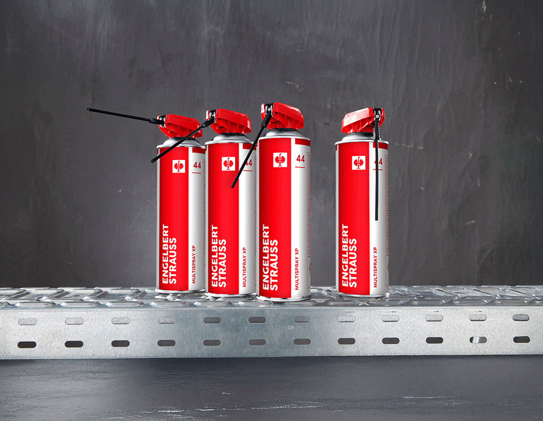 Sets: Aktion: 3 + 1 e.s. multispray xp