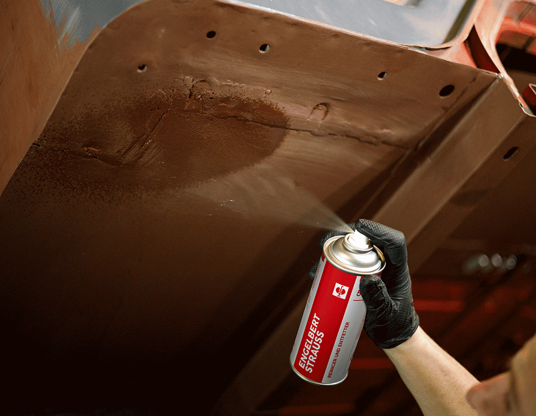 Sprays: Reiniger und Entfetter #5 2