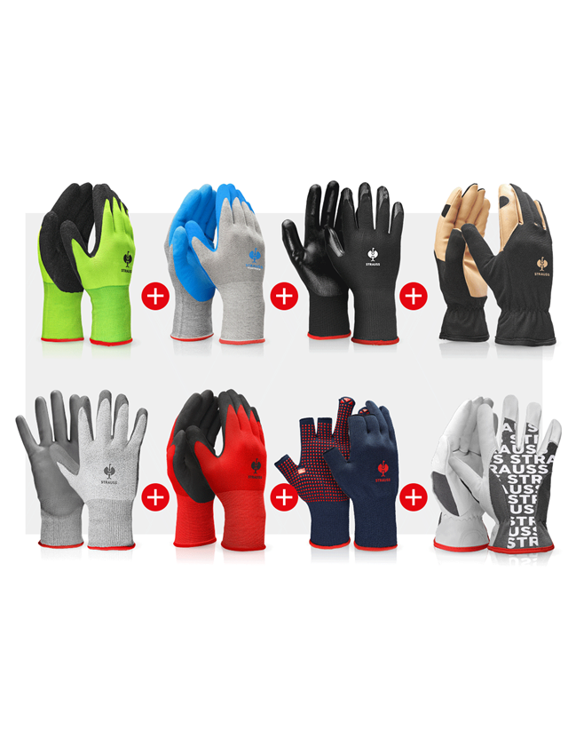 Sets | Zubehör: Handschuh-Profi Set Installation