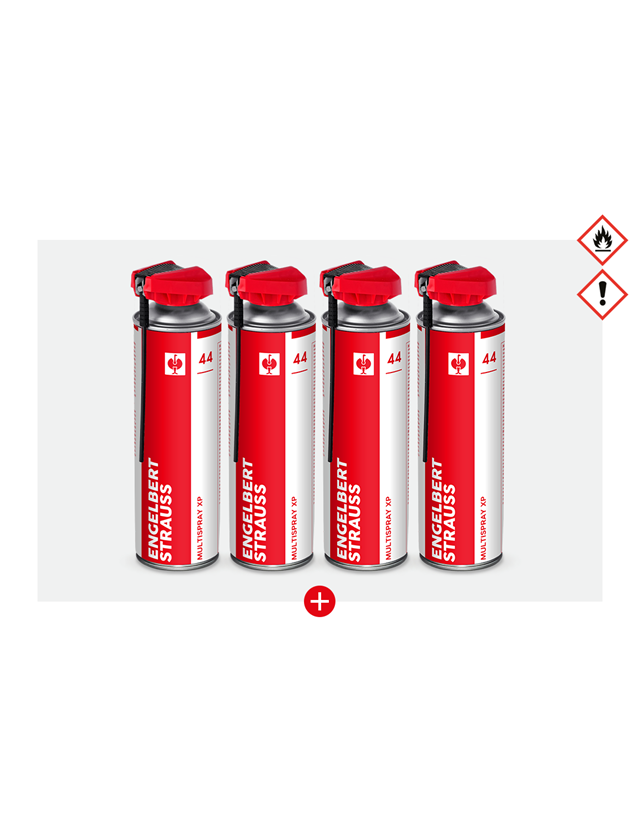 Sets: Aktion: 3 + 1 e.s. multispray xp